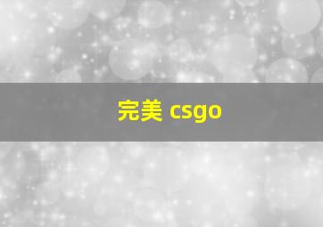 完美 csgo